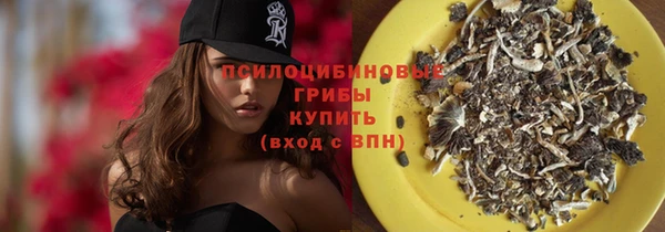 прущий лед Карпинск