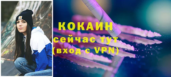 дурь Касимов