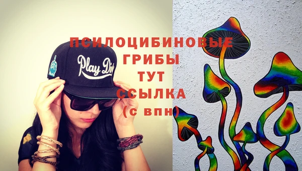 прущий лед Карпинск