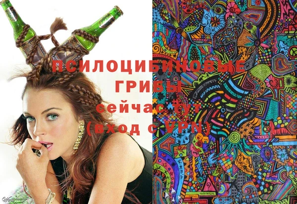 прущий лед Карпинск