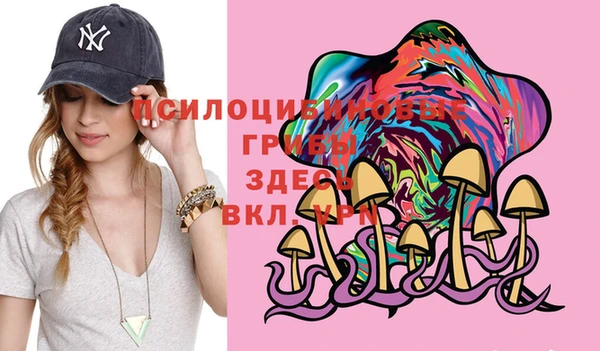 прущий лед Карпинск