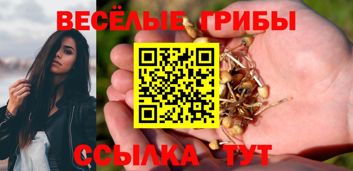 Рыбинск  Галлюциногенные грибы GOLDEN TEACHER  Вход с VPN 